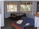 Dorrigo NSW 2453