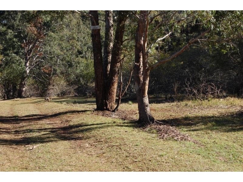 75 Mount Street, Dundurrabin, Dorrigo NSW 2453