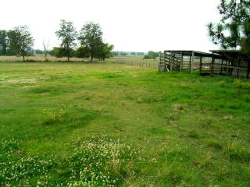 15 SCHOOL DRIVE, SWAN CREEK, Grafton NSW 2460