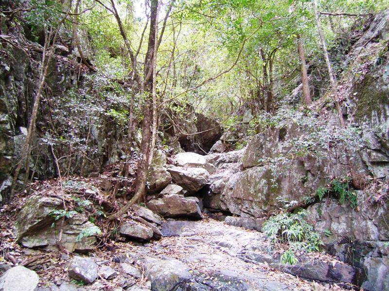 LOT 194 OLD GLEN INNES ROAD, NEWTON BOYD, Grafton NSW 2460