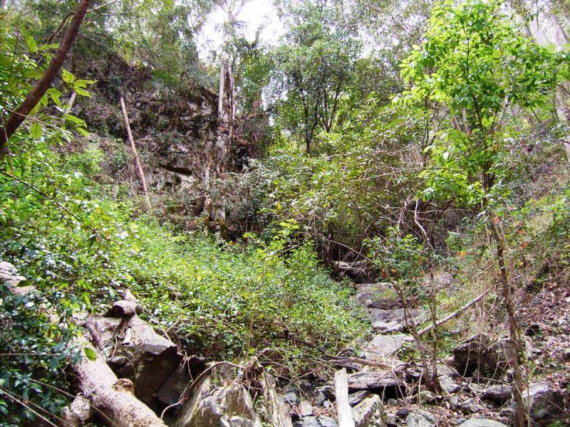 LOT 194 OLD GLEN INNES ROAD, NEWTON BOYD, Grafton NSW 2460