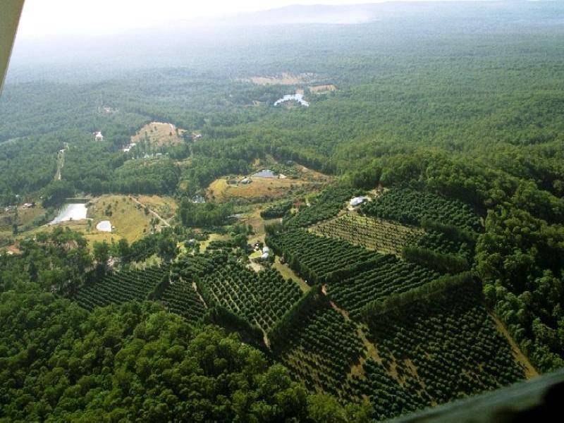 "RAINBOWS END FARM", 212 GRAYS ROAD, HALFWAY CREEK, Grafton NSW 2460