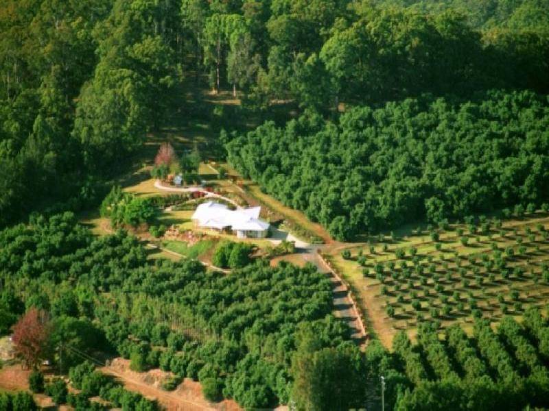 "RAINBOWS END FARM", 212 GRAYS ROAD, HALFWAY CREEK, Grafton NSW 2460