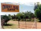 4 McGregor Street, Thargomindah, Thargomindah QLD 4492