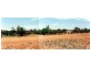 4 McGregor Street, Thargomindah, Thargomindah QLD 4492