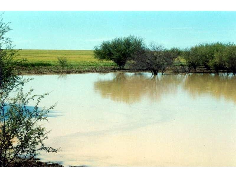 80 KM SOUTH WEST OF JULIA CREEK., Julia Creek QLD 4823
