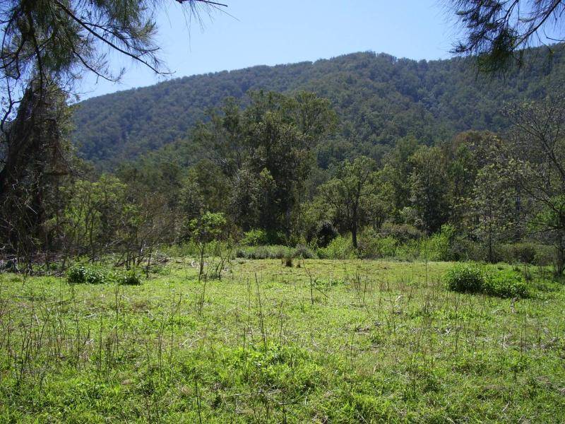 8064 OLD GLEN INNES ROAD, NEWTON BOYD, Grafton NSW 2460