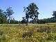 Grafton NSW 2460