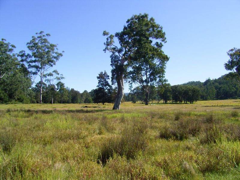 Grafton NSW 2460