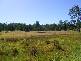 Grafton NSW 2460