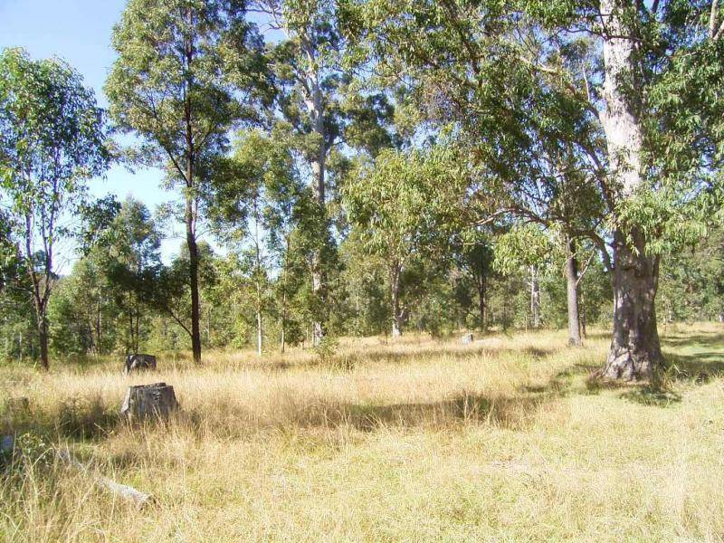 Grafton NSW 2460