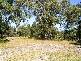 Grafton NSW 2460