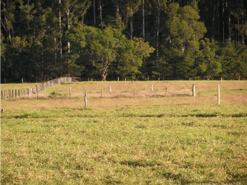 1577 Waterfall  Way, Bellingen NSW 2454