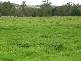 Kyogle NSW 2474