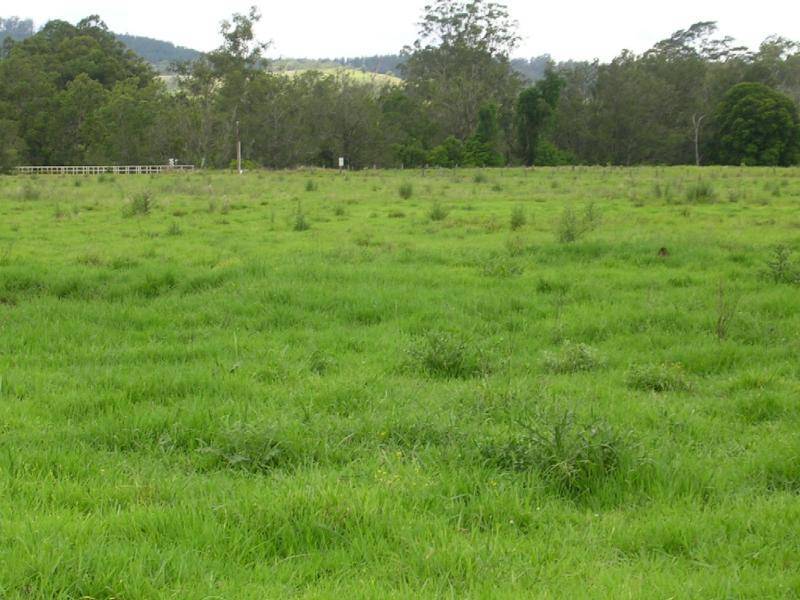 Kyogle NSW 2474