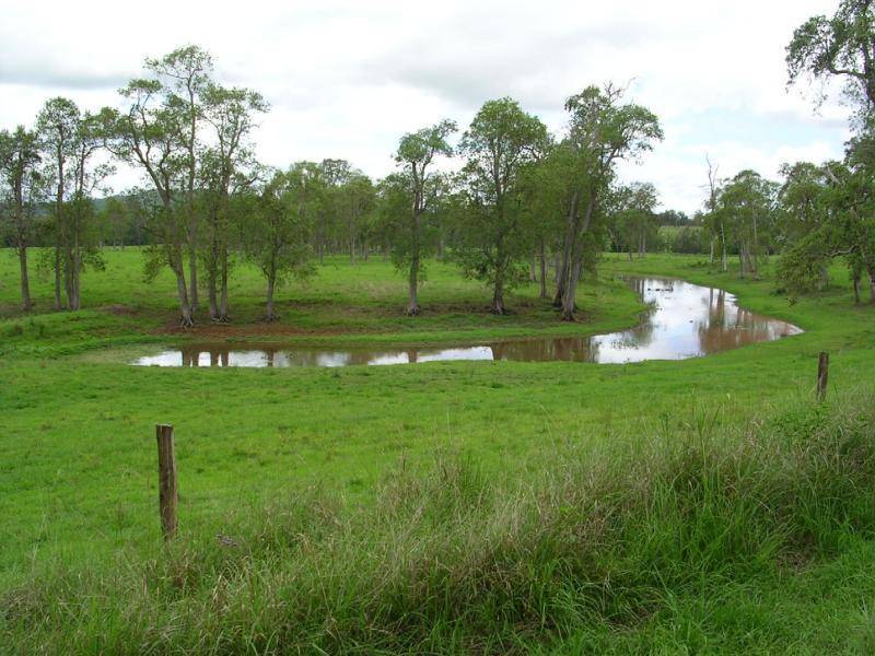 Kyogle NSW 2474