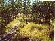Roma QLD 4455
