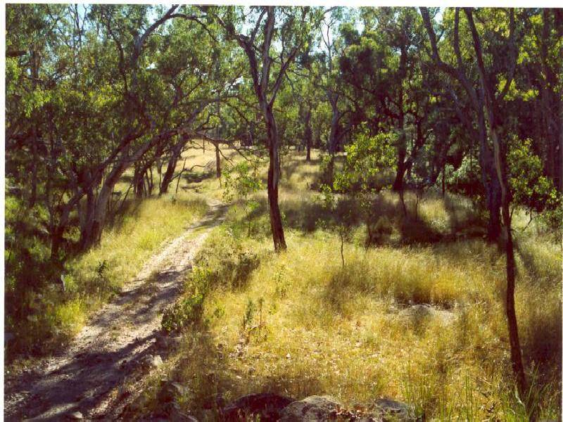 Roma QLD 4455
