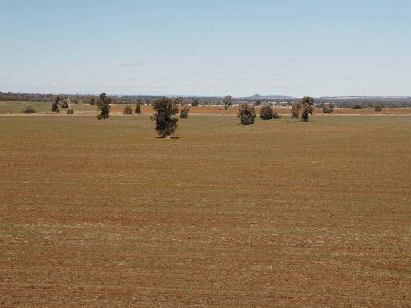 Goondiwindi QLD 4390