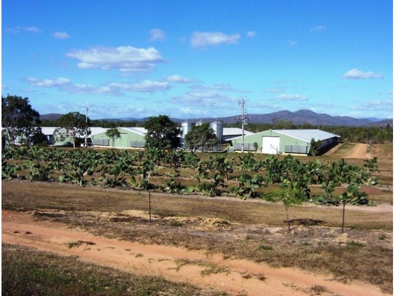 Mareeba QLD 4880