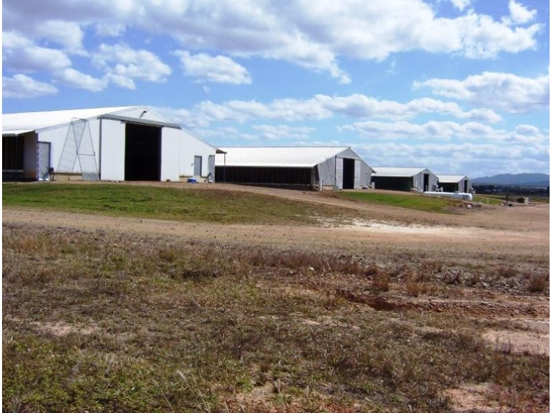 Mareeba QLD 4880