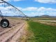 Mareeba QLD 4880