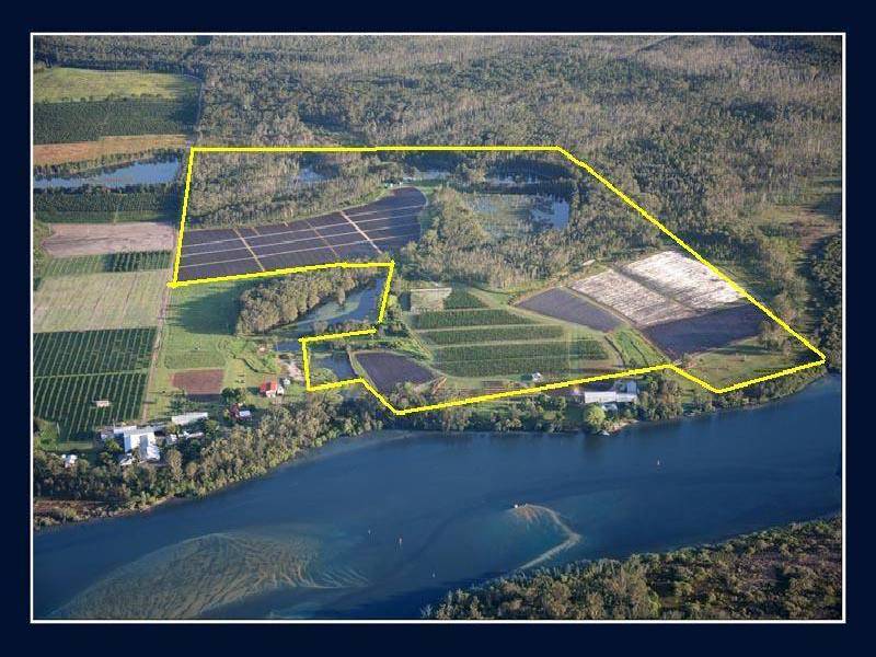 ROY’S RD, Beerwah QLD 4519