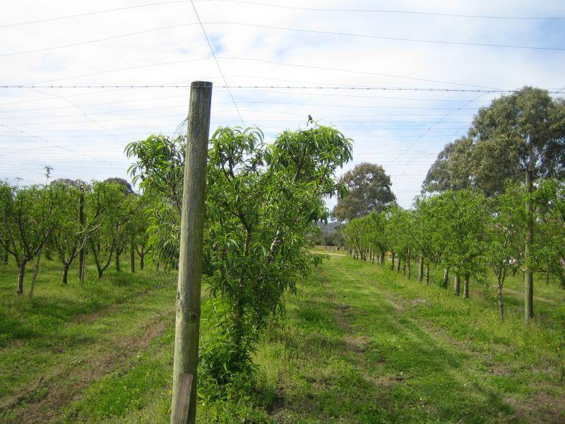ROY’S RD, Beerwah QLD 4519