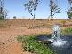 CHALONER PARK, Bollon QLD 4488