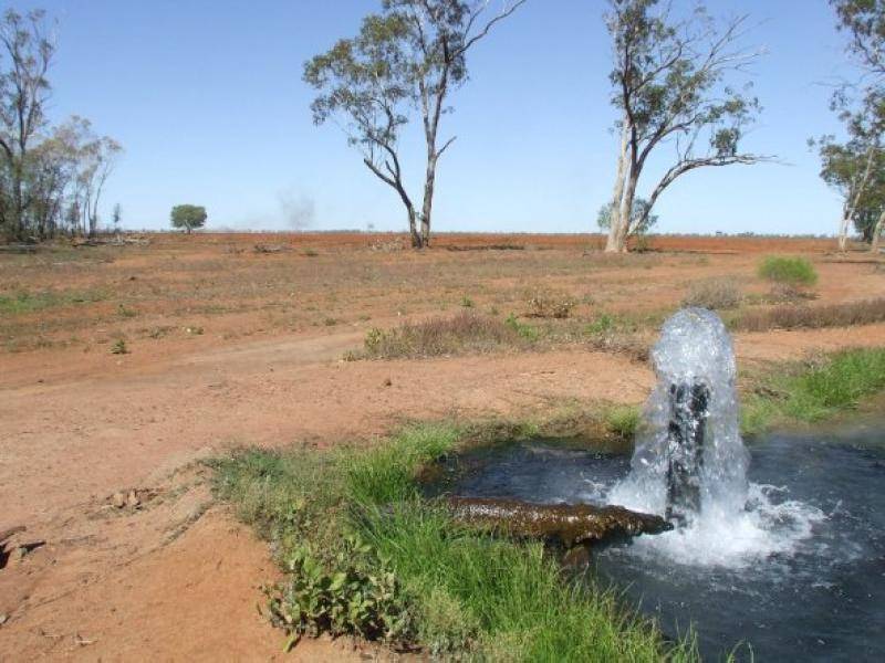 CHALONER PARK, Bollon QLD 4488