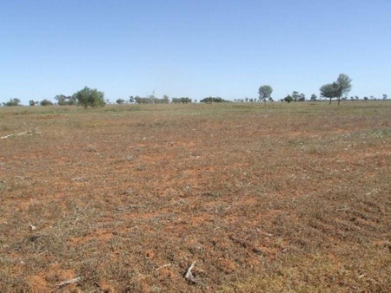CHALONER PARK, Bollon QLD 4488