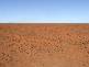 CHALONER PARK, Bollon QLD 4488