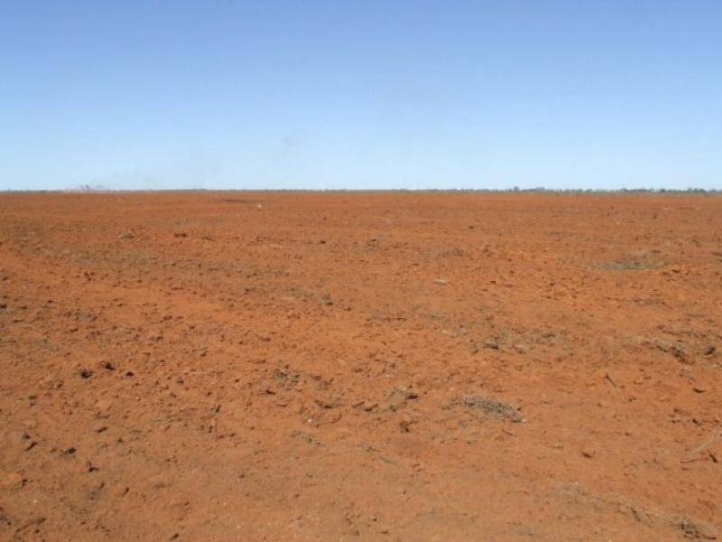 CHALONER PARK, Bollon QLD 4488