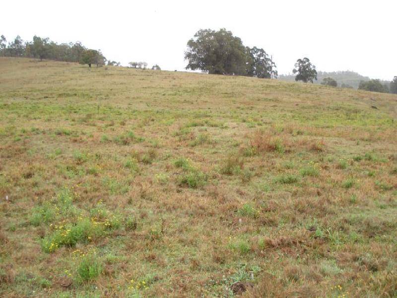 Kyogle NSW 2474