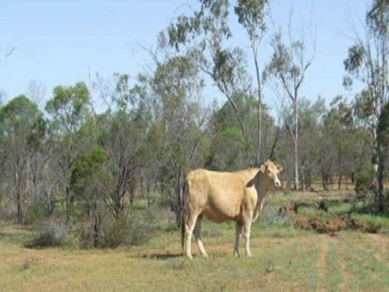 Bollon QLD 4488