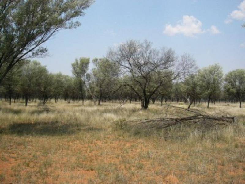 Bollon QLD 4488