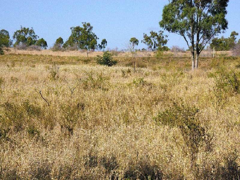 - MINGELA, 60KM EAST OF, Charters Towers QLD 4820