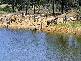- MINGELA, 60KM EAST OF, Charters Towers QLD 4820
