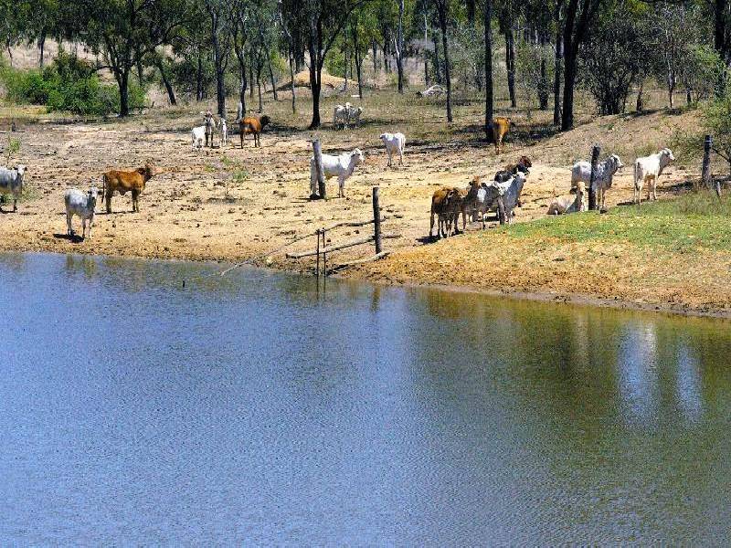 - MINGELA, 60KM EAST OF, Charters Towers QLD 4820