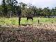 Grafton NSW 2460