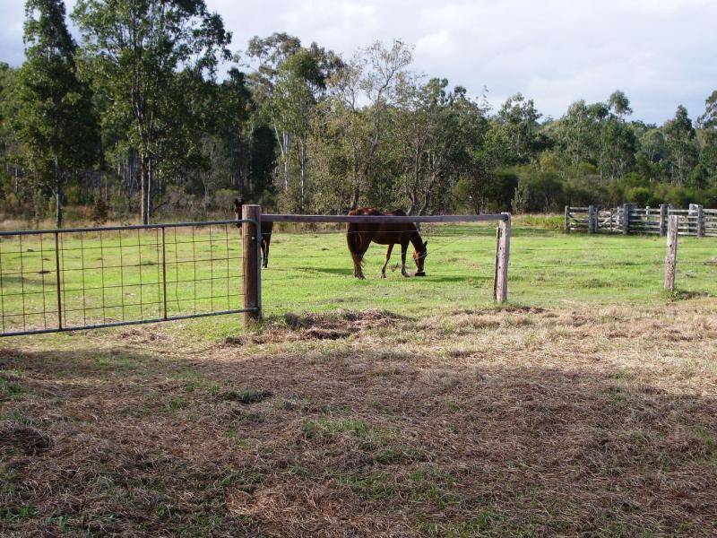 Grafton NSW 2460