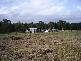 Grafton NSW 2460