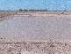 Chinchilla QLD 4413
