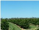 - KOOLBOO ROAD, SOUTH KOLAN, Bundaberg QLD 4670