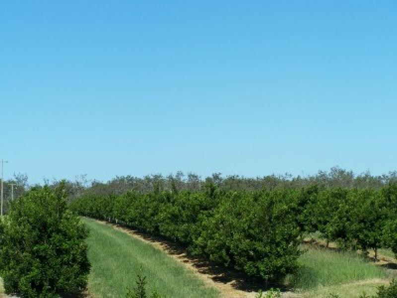 - KOOLBOO ROAD, SOUTH KOLAN, Bundaberg QLD 4670
