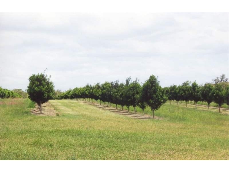 - KOOLBOO ROAD, SOUTH KOLAN, Bundaberg QLD 4670