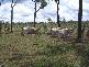 URAMO ROAD, Mount Garnet QLD 4872