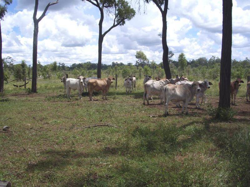 URAMO ROAD, Mount Garnet QLD 4872