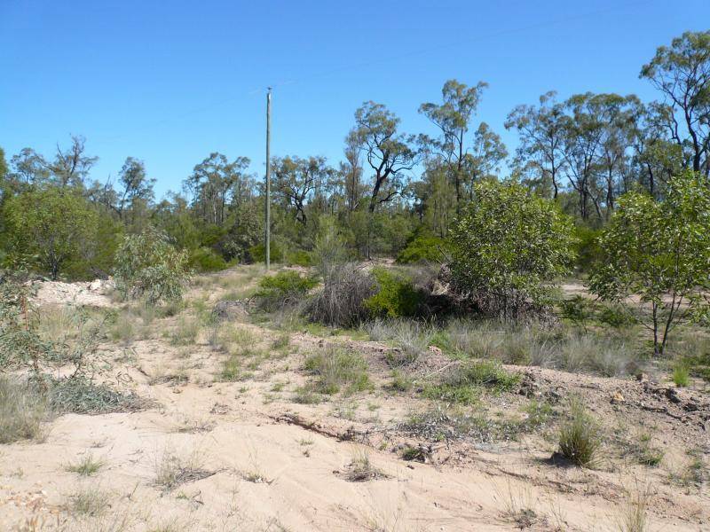 51 MALES DRIVE, Tara QLD 4421