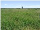 Bollon QLD 4488